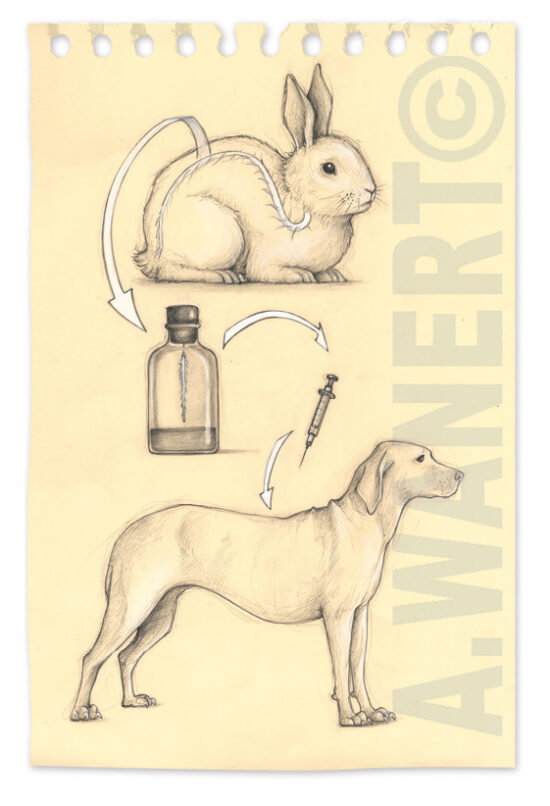 Illustration