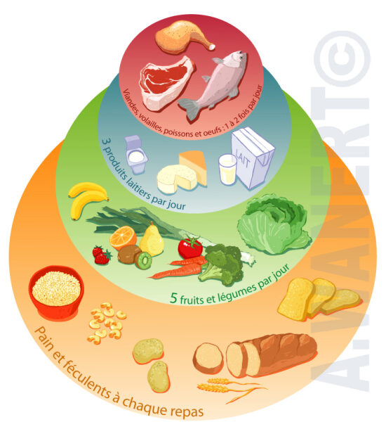 Nutrition