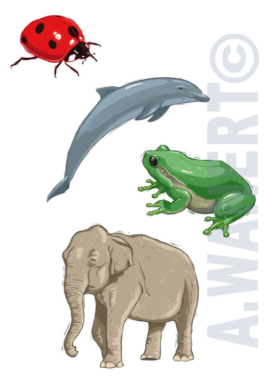 Zoologie