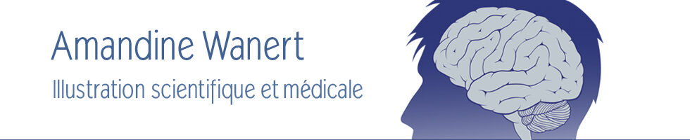 Amandine Wanert